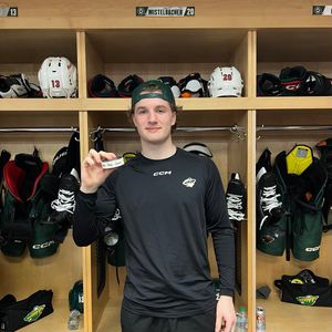 Image post by @IAWild on Twitter