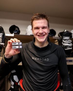 Image post by @thehersheybears on Instagram