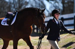 Image post by @auburnequestrian on Instagram