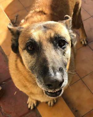 Image post by @alvaroportillo on Instagram