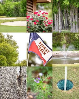 Image post by @stpgajuniorgolf on Instagram
