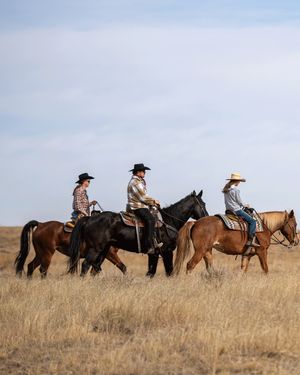 Image post by @tylerphillipsphoto on Instagram