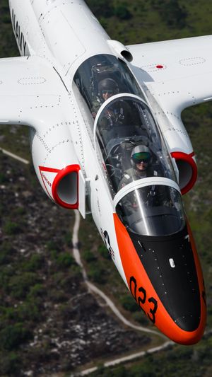Video post by @foreflight on Facebook