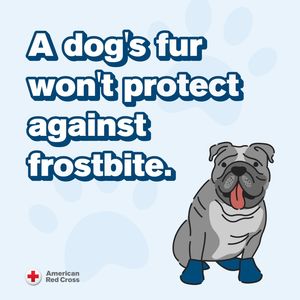 Image post by @americanredcross on Instagram