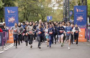 Image post by @nyrr on Instagram