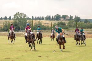 Image post by @polohubsocial on Instagram