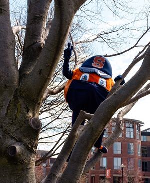 Image post by @theottoorange on Instagram