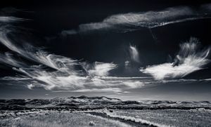 Image post by @robinwinsor on Instagram