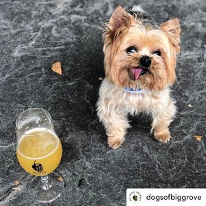 Image post by @biggrovebrewery on Instagram