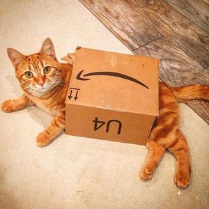 Image post by @amazon on Instagram