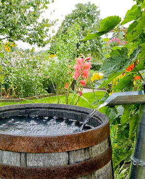 Image post by @ahs_gardening on Instagram