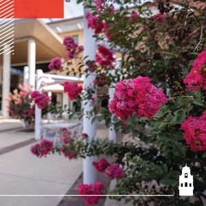 Image post by @tturawlscollege on Instagram