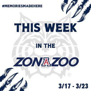 Image post by @zonazooofficial on Instagram