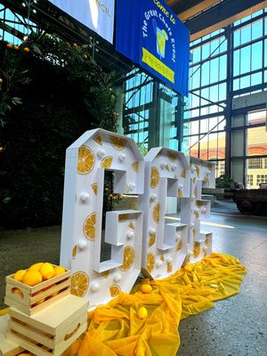 Image post by @alexslemonade on Instagram