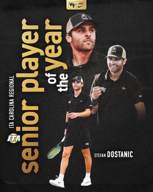 Image post by @WakeMTennis on Twitter