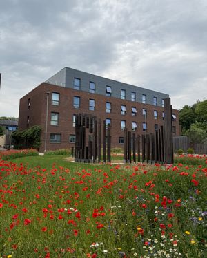 Image post by @lborouniversity on Instagram