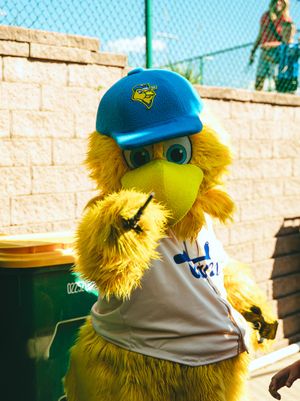 Image post by @canaries_baseball on Instagram