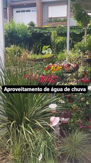 Video post by @operitoambiental on Instagram
