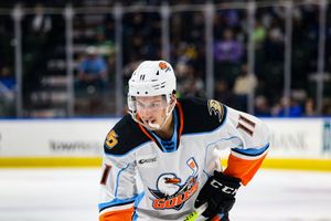 Image post by @SDGullsAHL on Twitter