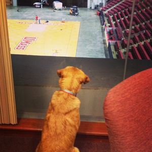 Image post by @umasswbb on Instagram