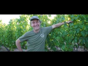 Video post by @ArizonaTourism on YouTube
