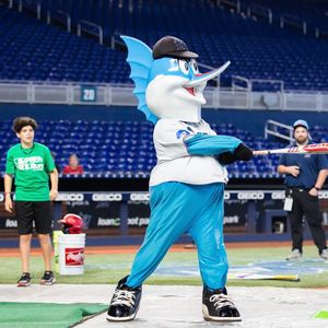 Image post by @mlbpitchhitrun on Instagram