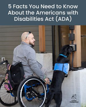 Image post by @canineorg on Instagram