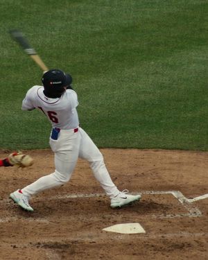 Image post by @greatlakesloons on Instagram