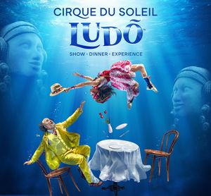 Image post by @ludo.cirquedusoleil on Instagram