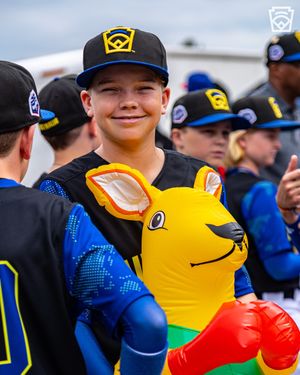 Image post by @littleleague on Instagram