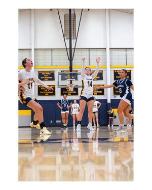 Image post by @adalongphotography on Instagram