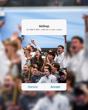 Image post by @gobearcatsswim on Instagram