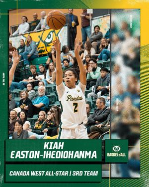 Image post by @bearsandpandas on Instagram