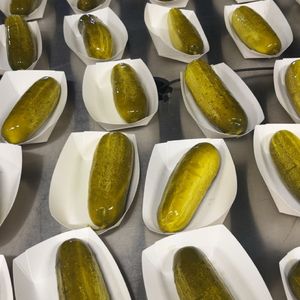 Image post by @thechicagodogs on Instagram