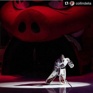 Image post by @goaliesonly on Instagram