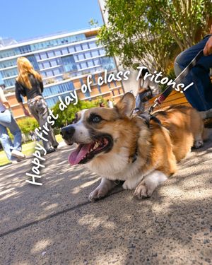 Image post by @ucsdadmissions on Instagram