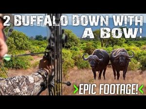 Video post by @BowmarBowhunting on YouTube