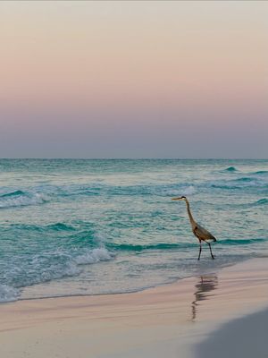 Image post by @southwalton on Instagram