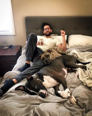 Image post by @realadamrose on Instagram