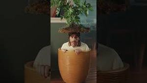 Video post by @samsungus on YouTube