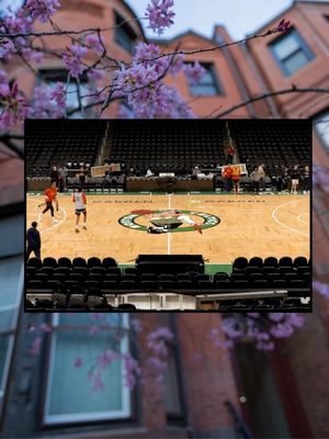 Image post by @pelicansnba on Instagram