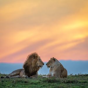 Image post by @bbcearth on Instagram