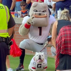 Image post by @ugahairydawg on Instagram