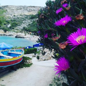 Image post by @robertaborsari on Instagram