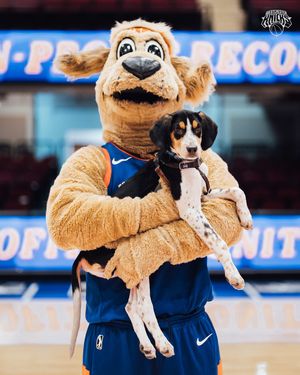 Image post by @wcknicks on Instagram