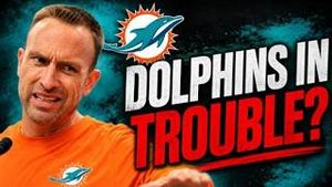 Video post by @dolphinstalk on YouTube