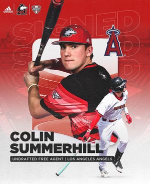 Image post by @niu_baseball on Instagram