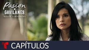 Video post by @telemundo on YouTube