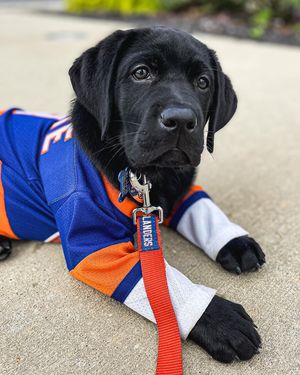 Image post by @nyislespup on Instagram