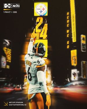 Image post by @steelers on Instagram